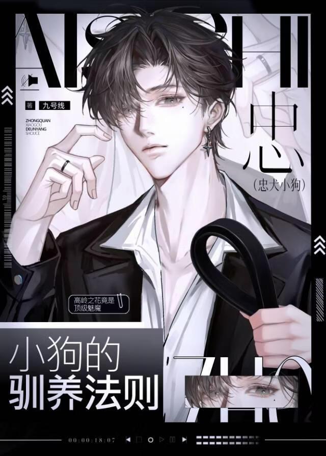 忠犬小狗的驯养法则